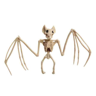 Esqueleto de Morcego 30x16 cm