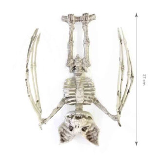 Esqueleto de Morcego 27 cm