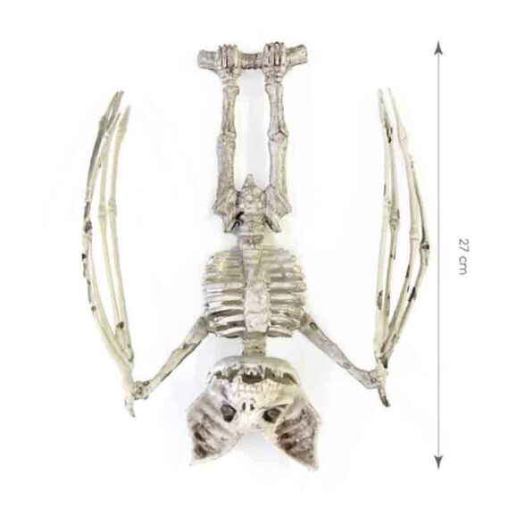Esqueleto de Morcego 27 cm