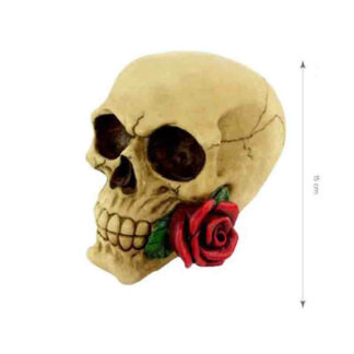 Crânio com Rosa 15 cm