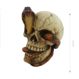 Crânio com Cobra 12.5 cm