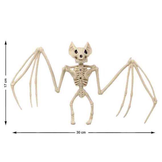 Esqueleto de Morcego 30x17 cm