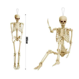 Boneco Esqueleto Articulado 165 cm
