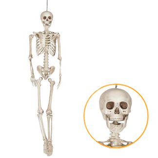 Esqueleto 160cm