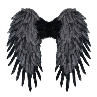 Asas Plumas Preto