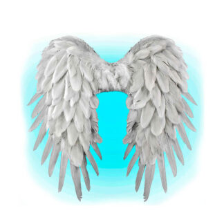Asas Plumas Branco