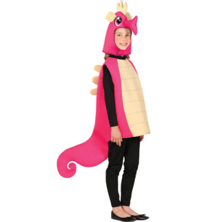 Fato Cavalo Marinho Rosa