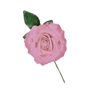 Rosa Sevilhana Grande