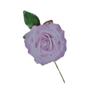 Rosa Sevilhana Grande
