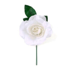 Rosa Sevilhana Branca
