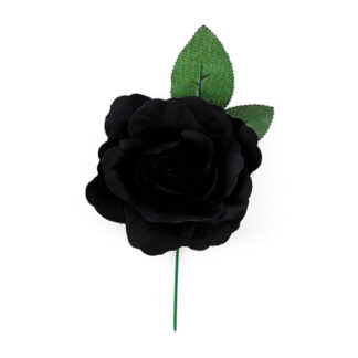 Rosa Sevilhana Preta