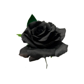 Rosa Sevilhana 14cm Preto