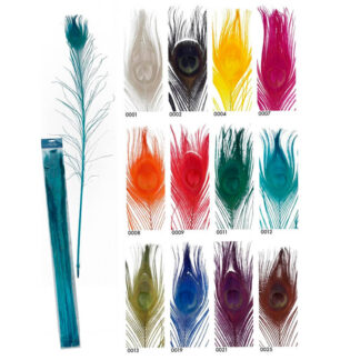 Penas de Pavão Real Tintada 80 cm