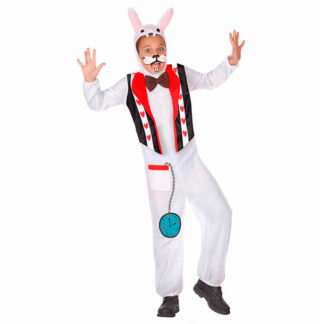 Fato Coelho Atarefado