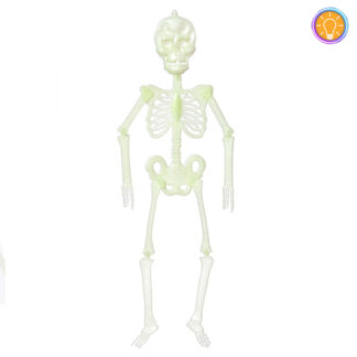 Esqueleto GITD 30cm