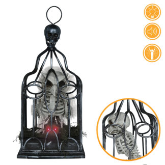 Gaiola Esqueleto Coruja