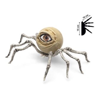 Aranha com Olho